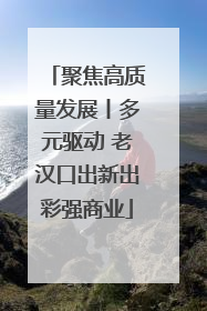 聚焦高质量发展丨多元驱动 老汉口出新出彩强商业