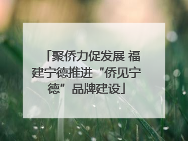 聚侨力促发展 福建宁德推进“侨见宁德”品牌建设