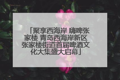 聚享西海岸 嗨啤张家楼 青岛西海岸新区张家楼街道首届啤酒文化大集盛大启幕