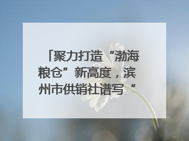 聚力打造“渤海粮仓”新高度，滨州市供销社谱写“三夏”丰收乐章