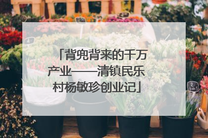 背兜背来的千万产业——清镇民乐村杨敏珍创业记