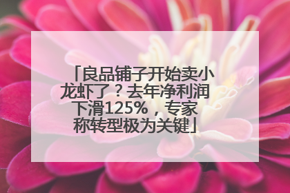 良品铺子开始卖小龙虾了？去年净利润下滑125%，专家称转型极为关键