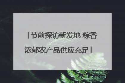 节前探访新发地 粽香浓郁农产品供应充足