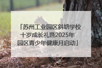 苏州工业园区斜塘学校十岁成长礼暨2025年园区青少年健康月启动