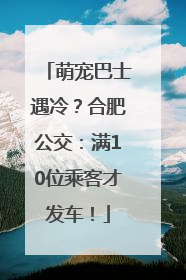 萌宠巴士遇冷？合肥公交：满10位乘客才发车！