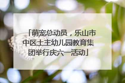 萌宠总动员，乐山市中区土主幼儿园教育集团举行庆六一活动