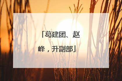 葛建团、赵峰，升副部