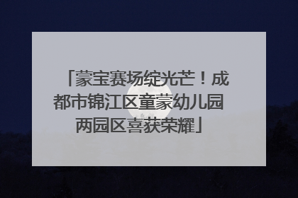 蒙宝赛场绽光芒！成都市锦江区童蒙幼儿园两园区喜获荣耀