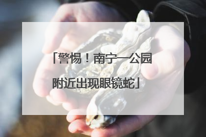 警惕！南宁一公园附近出现眼镜蛇