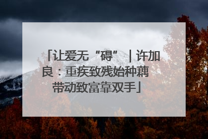 让爱无“碍”｜许加良：重疾致残始种藕 带动致富靠双手