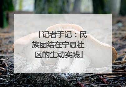 记者手记：民族团结在宁夏社区的生动实践