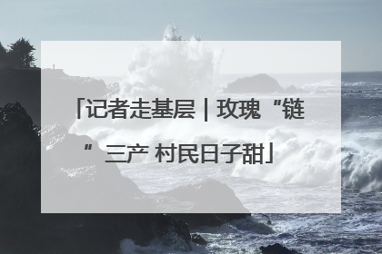 记者走基层｜玫瑰“链”三产 村民日子甜