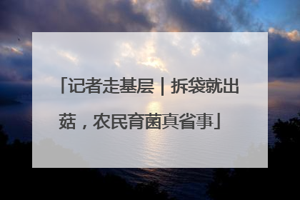 记者走基层｜拆袋就出菇，农民育菌真省事