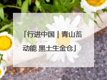 行进中国｜青山蓄动能 黑土生金仓