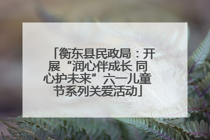 衡东县民政局：开展“润心伴成长 同心护未来”六一儿童节系列关爱活动