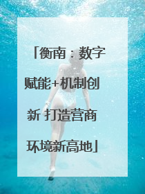 衡南：数字赋能+机制创新 打造营商环境新高地