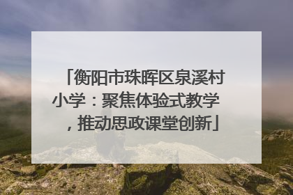 衡阳市珠晖区泉溪村小学：聚焦体验式教学，推动思政课堂创新