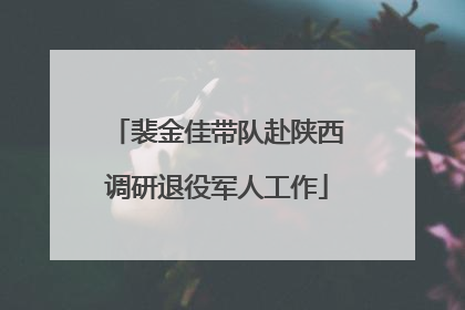 裴金佳带队赴陕西调研退役军人工作
