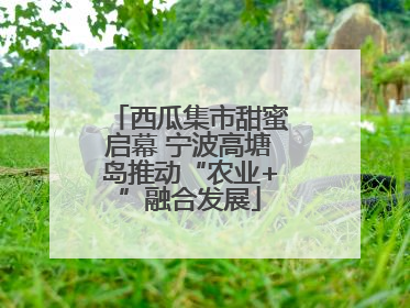 西瓜集市甜蜜启幕 宁波高塘岛推动“农业+”融合发展