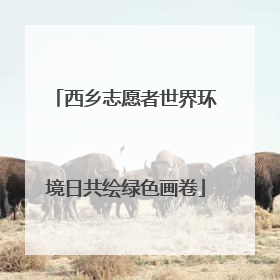 西乡志愿者世界环境日共绘绿色画卷