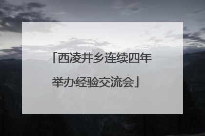 西凌井乡连续四年举办经验交流会