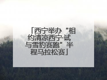 西宁举办“相约清凉西宁·试与雪豹赛跑”半程马拉松赛