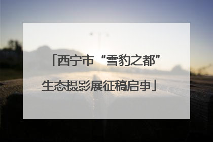 西宁市“雪豹之都”生态摄影展征稿启事