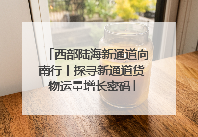 西部陆海新通道向南行丨探寻新通道货物运量增长密码