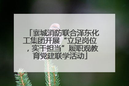 襄城消防联合泽东化工集团开展“立足岗位，实干担当”履职观教育党建联学活动
