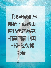 见证藏湘兄弟情：西藏山南特色产品亮相第四届中国-非洲经贸博览会