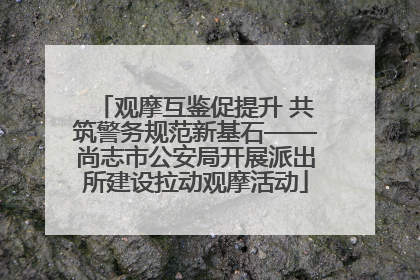 观摩互鉴促提升 共筑警务规范新基石——尚志市公安局开展派出所建设拉动观摩活动