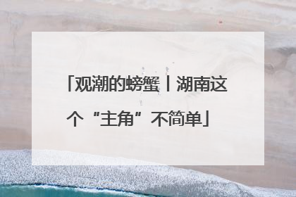 观潮的螃蟹丨湖南这个“主角”不简单