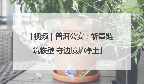 视频｜普洱公安：斩毒链筑铁壁 守边境护净土