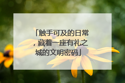 触手可及的日常，藏着一座有礼之城的文明密码