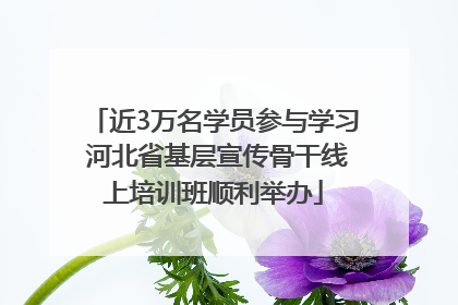 近3万名学员参与学习 河北省基层宣传骨干线上培训班顺利举办