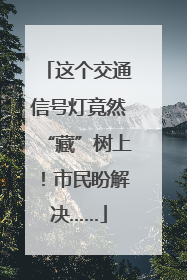 这个交通信号灯竟然“藏”树上！市民盼解决……