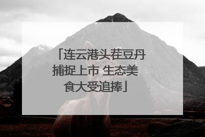连云港头茬豆丹捕捉上市 生态美食大受追捧