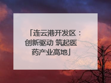 连云港开发区：创新驱动 筑起医药产业高地