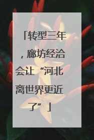 转型三年，廊坊经洽会让“河北离世界更近了”