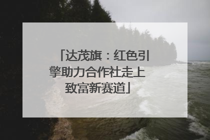达茂旗：红色引擎助力合作社走上致富新赛道
