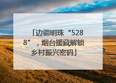 边疆明珠“5288”，烟台援藏解锁乡村振兴密码