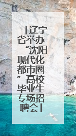 辽宁省举办“沈阳现代化都市圈”高校毕业生专场招聘会