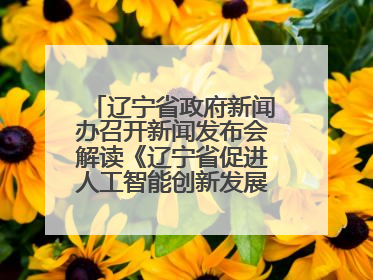 辽宁省政府新闻办召开新闻发布会解读《辽宁省促进人工智能创新发展实施方案》