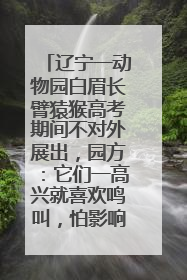 辽宁一动物园白眉长臂猿猴高考期间不对外展出，园方：它们一高兴就喜欢鸣叫，怕影响考试
