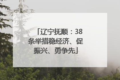 辽宁抚顺：38条举措稳经济、促振兴、勇争先