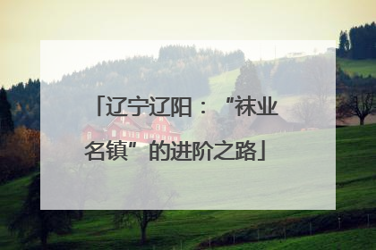 辽宁辽阳：“袜业名镇”的进阶之路