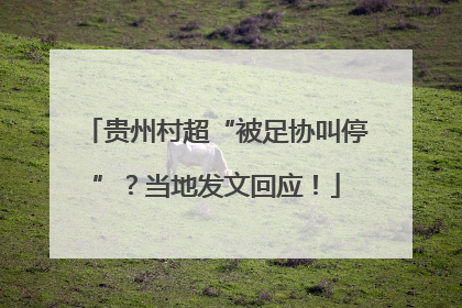 贵州村超“被足协叫停”？当地发文回应！