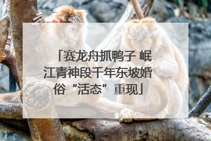 赛龙舟抓鸭子 岷江青神段千年东坡婚俗“活态”重现