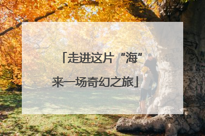 走进这片“海”来一场奇幻之旅