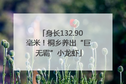 身长132.90毫米！桐乡养出“巨无霸”小龙虾